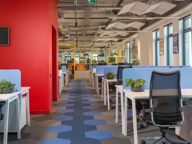 广州商铺灭白蚁技巧